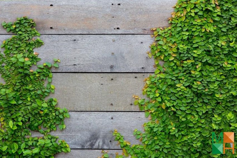 Tranh dán tường cho phòng khách đẹp tại Hà Nội NA - 033